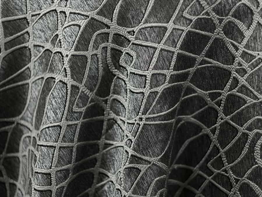 Spiderweb-Detail